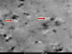 Fig. 7