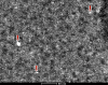 Fig. 9