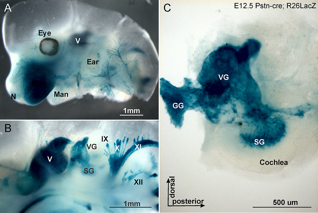 Figure 4.