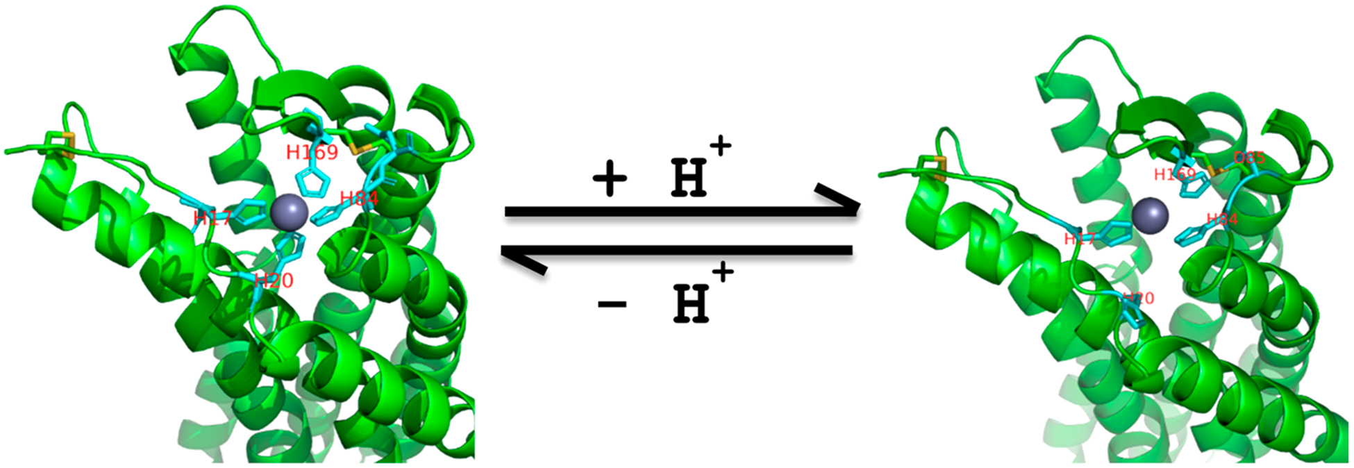 Figure 11.