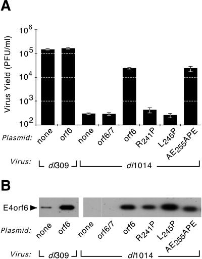 FIG. 7