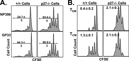 FIG. 10.