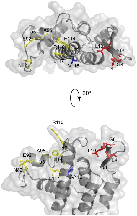 Figure 7