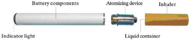 FIGURE 1.