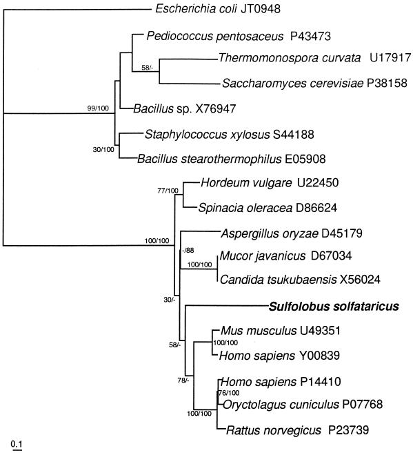 FIG. 6