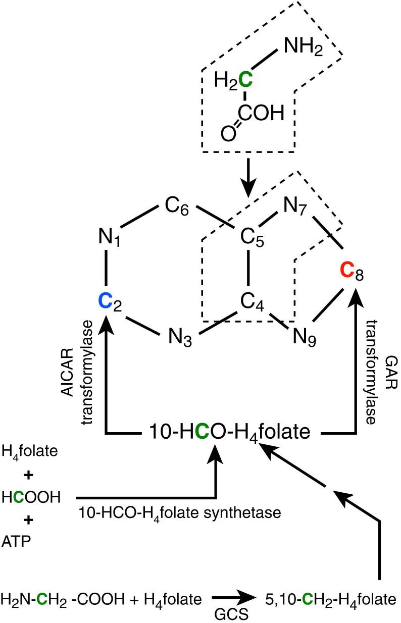 Fig.1