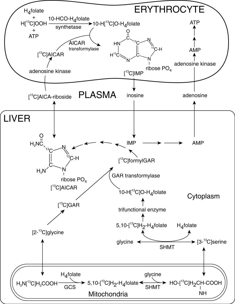 Fig. 3