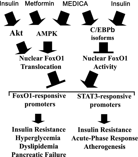 FIG. 8.