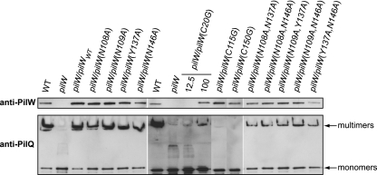 Fig. 6.