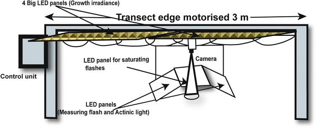 Fig. 1