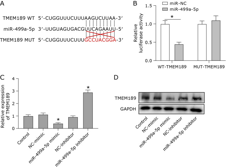 Fig. 2.