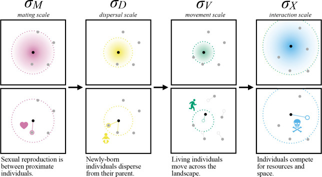 Figure 2: