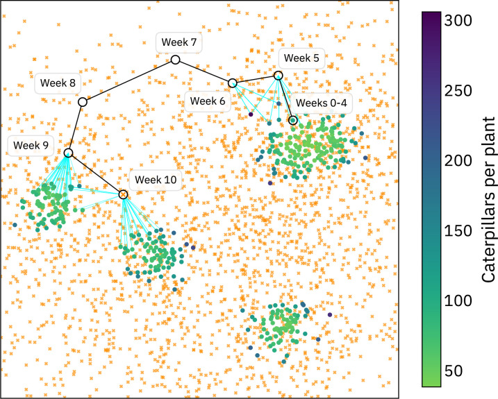 Figure 11: