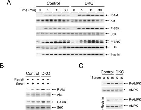 FIG. 13.