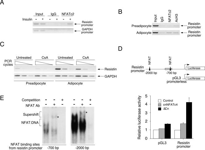 FIG. 12.