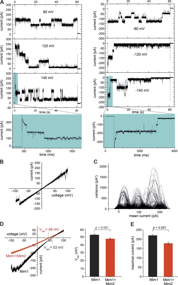 Figure 3.