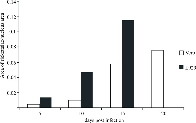 Fig 4