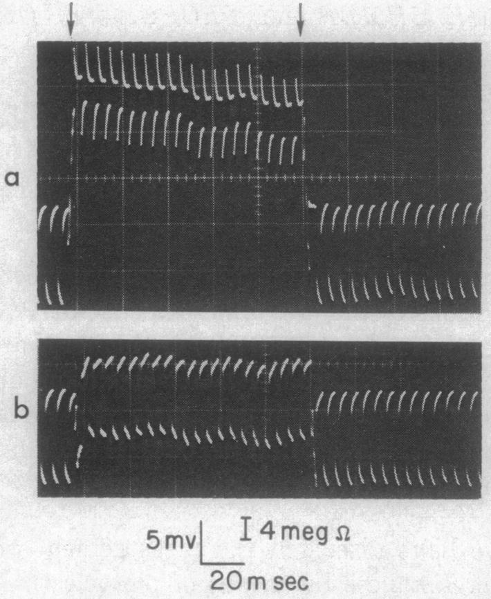 graphic file with name pnas00109-0144-b.jpg