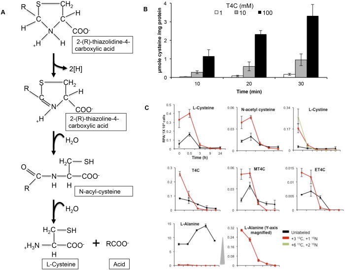 FIG 4 