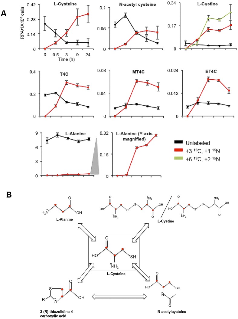 FIG 2 