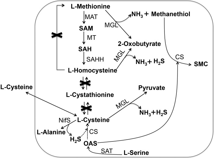 FIG 1 