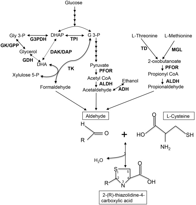 FIG 3 