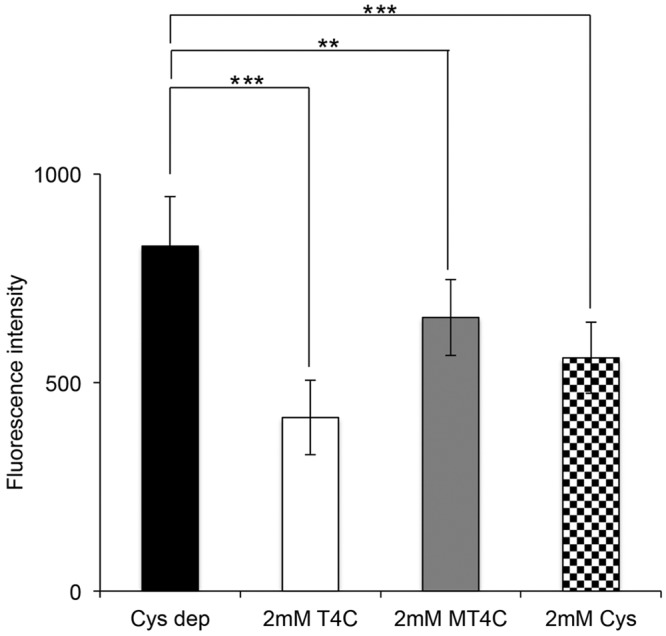 FIG 6 