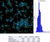 Figure 2—figure supplement 2.