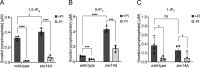 Figure 2—figure supplement 3.