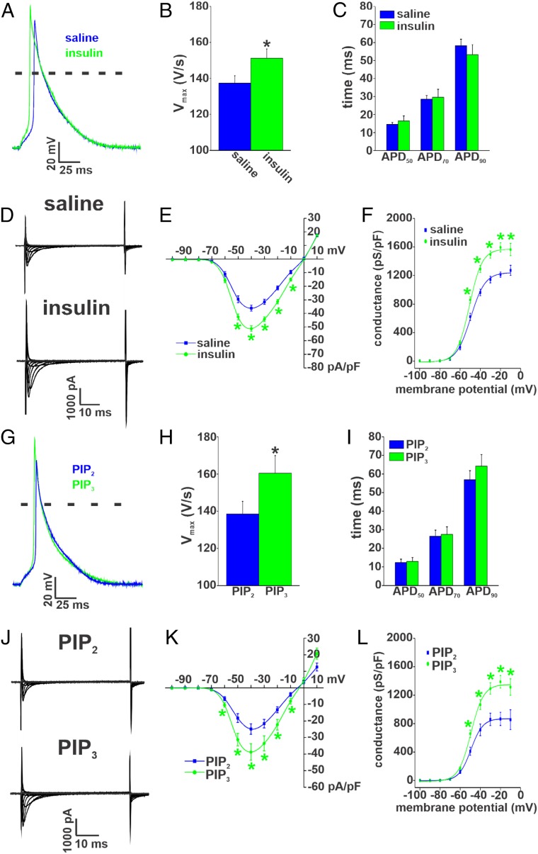 Fig. 8.