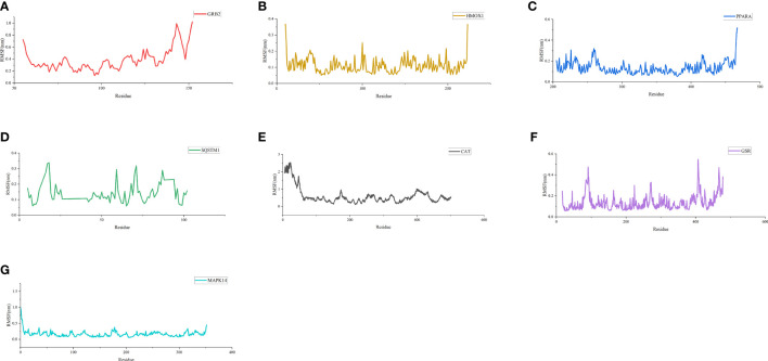 Figure 7