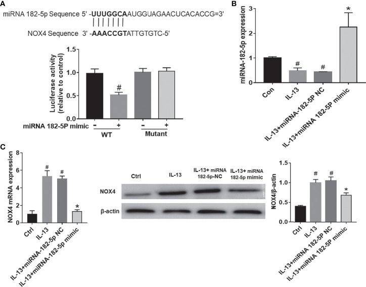 Figure 4