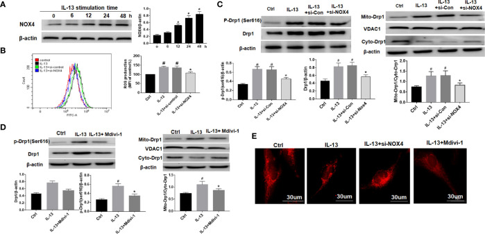 Figure 2