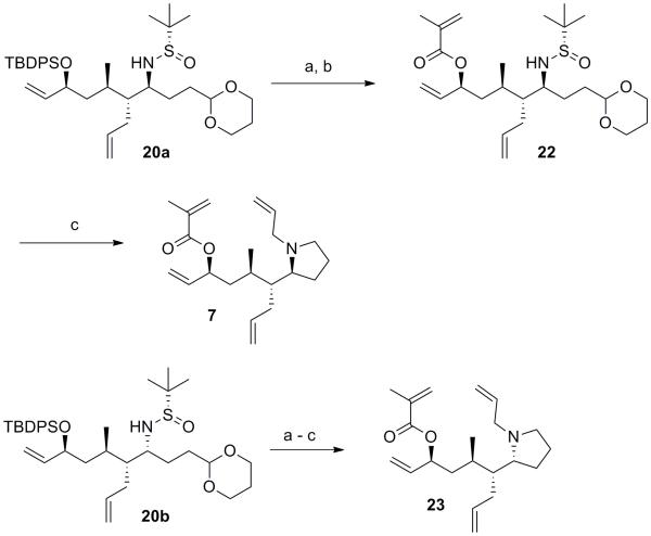 Scheme 5