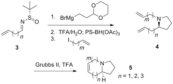 Scheme 1