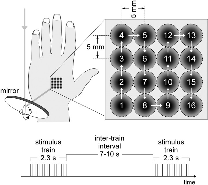 Figure 1.