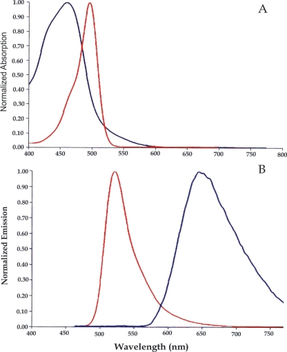 FIG. 1.