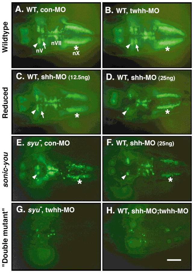 FIG. 1