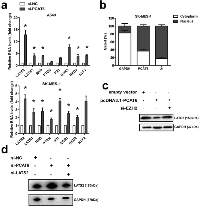 Supplementary Fig. 1