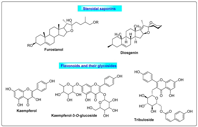 Figure 19