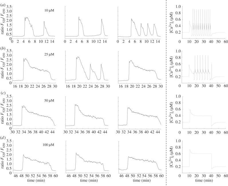 Figure 10.