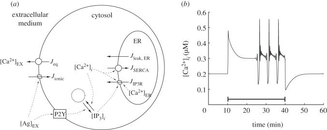 Figure 1.