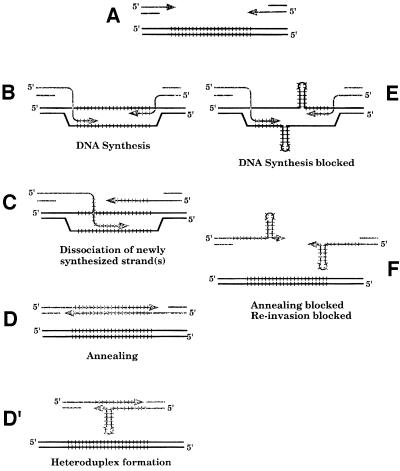 graphic file with name cdd227f4.jpg