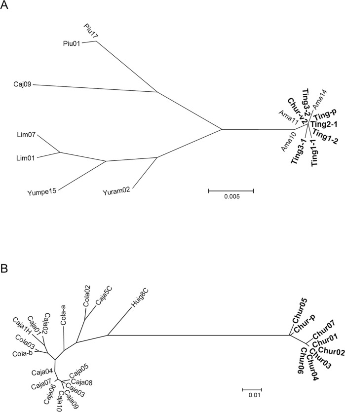 Fig 4