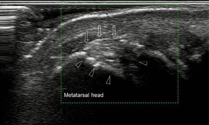 Figure 3.