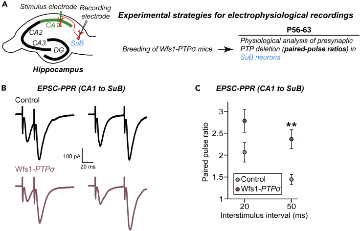 Figure 5