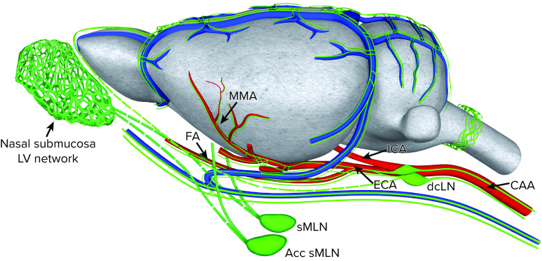 FIGURE 2.