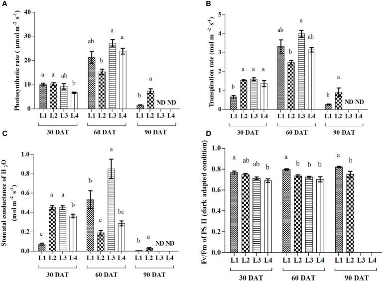 Figure 4