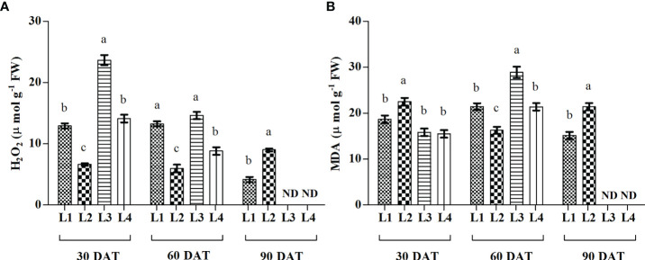 Figure 5