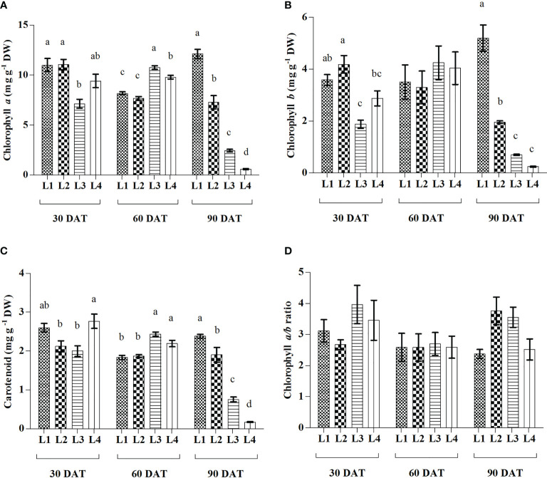 Figure 3